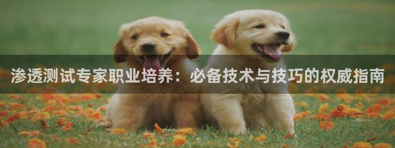 j9九游会网址|渗透测试专家职业培养：必备技术与技巧的权威指南
