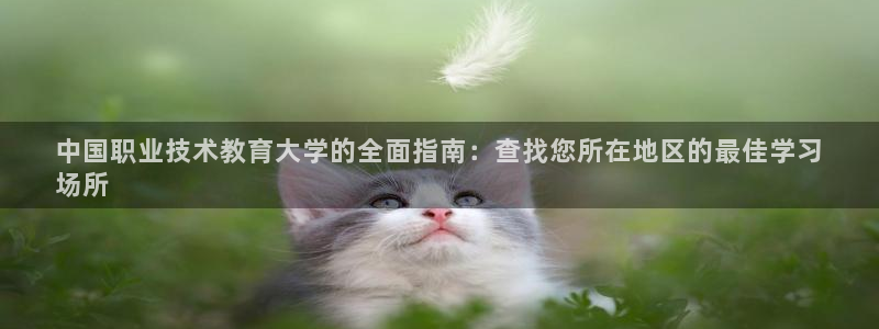 j9电竞官网|中国职业技术教育大学的全面指南：查找您所在地区的最佳学习
场所