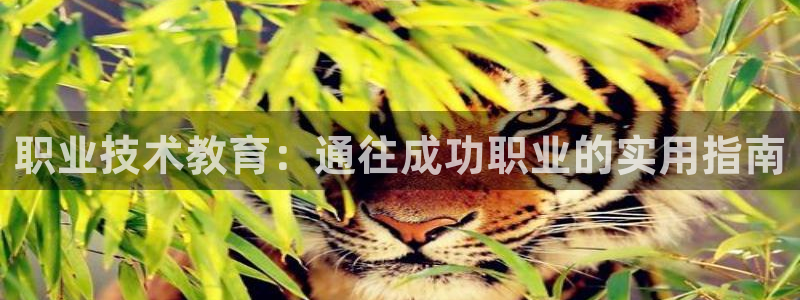 j9九游会老哥俱乐部官网|职业技术教育：通往成功职业的实用指南