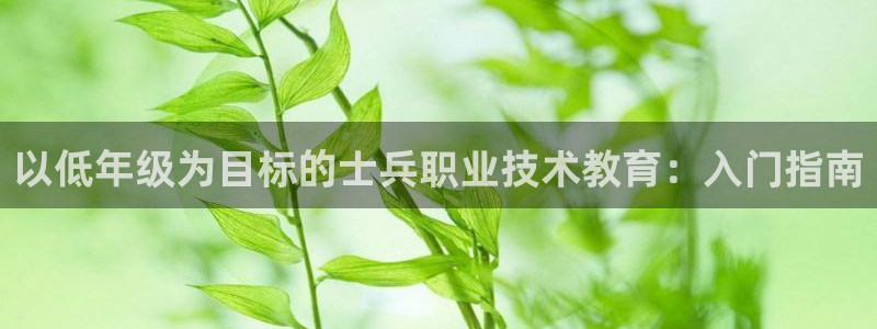 j9九游会网址|以低年级为目标的士兵职业技术教育：入门指南