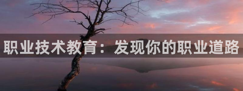 j9国际站官网|职业技术教育：发现你的职业道路