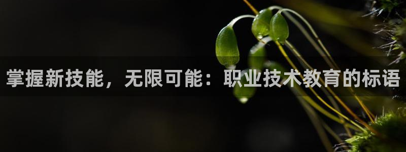 j9九游会网址|掌握新技能，无限可能：职业技术教育的标语