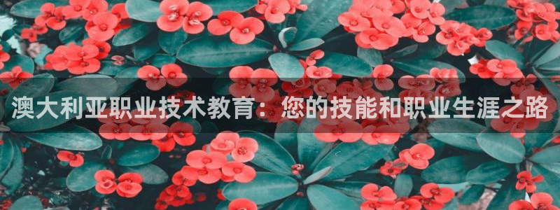 j9九游会网址是什么